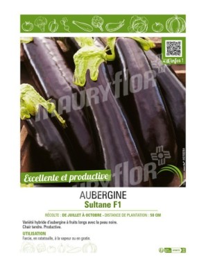 AUBERGINE SULTANE F1