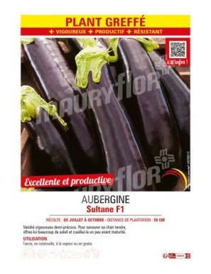 AUBERGINE SULTANE F1 Plant greffé