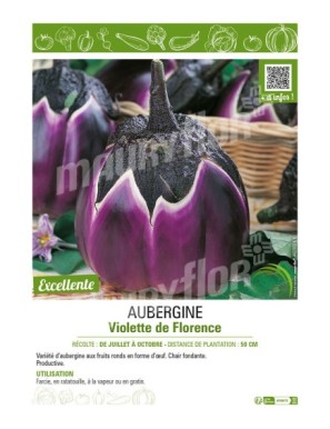 AUBERGINE VIOLETTE DE FLORENCE