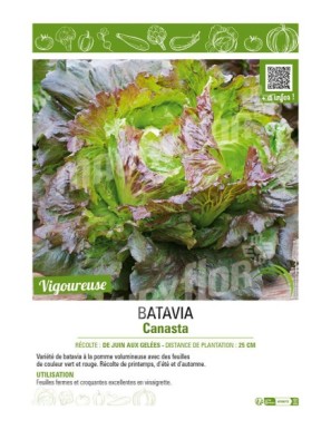 BATAVIA CANASTA