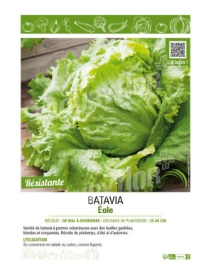 BATAVIA ÉOLE