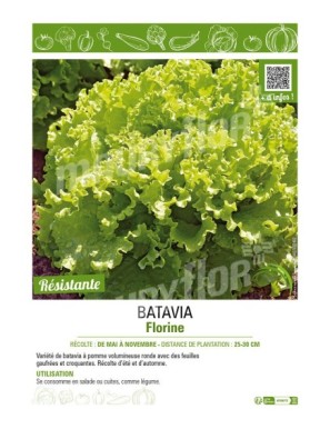 BATAVIA FLORINE