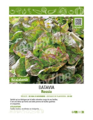 BATAVIA ROSSIA