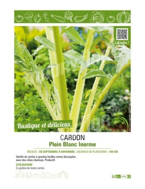 CARDON PLEIN BLANC INERME