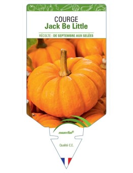 COURGE JACK BE LITTLE