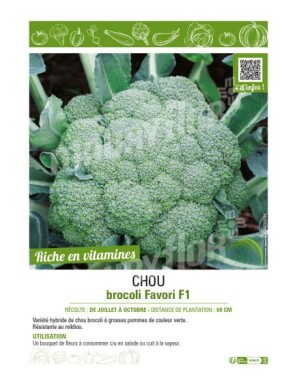 CHOU BROCOLI FAVORI F1