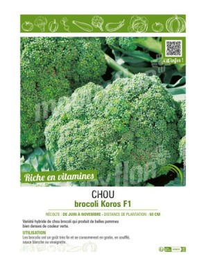 CHOU BROCOLI KOROS F1