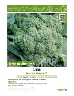 CHOU BROCOLI VERDIA F1