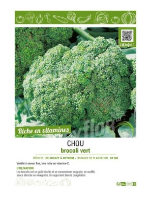 CHOU BROCOLI VERT