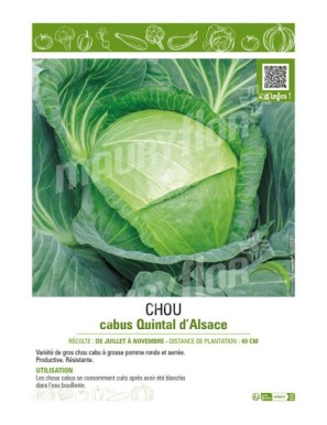 CHOU CABUS QUINTAL D'ALSACE