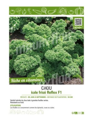 CHOU KALE FRISÉ REFLEX F1