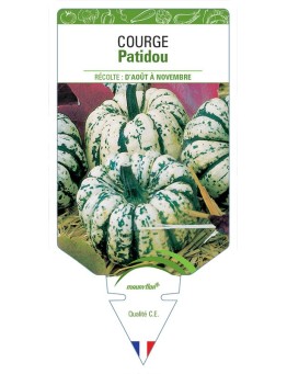 COURGE PATIDOU
