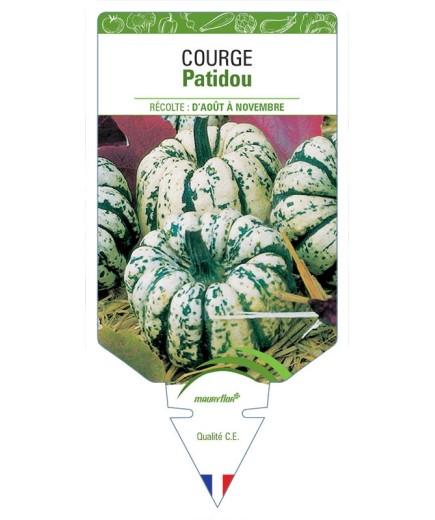 COURGE PATIDOU