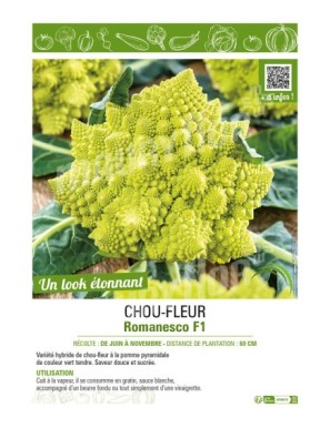 CHOU-FLEUR ROMANESCO F1