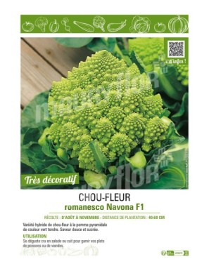 CHOU-FLEUR ROMANESCO NAVONA F1