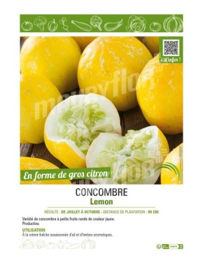 CONCOMBRE LEMON