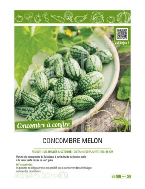 CONCOMBRE MELON