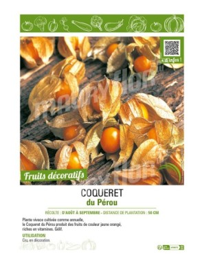 COQUERET DU PEROU