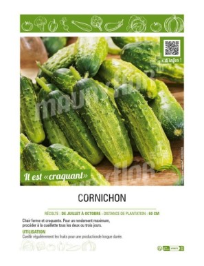 CORNICHON