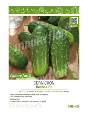 CORNICHON RESTINA F1