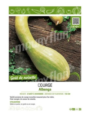 COURGE ALBENGA