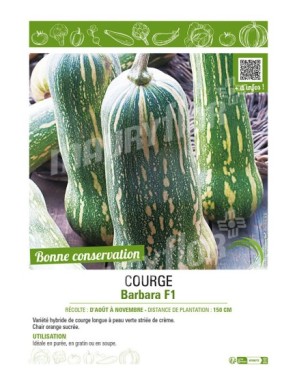 COURGE BARBARA F1