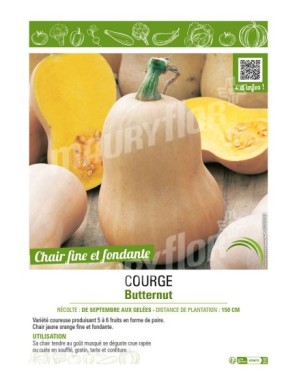 COURGE BUTTERNUT