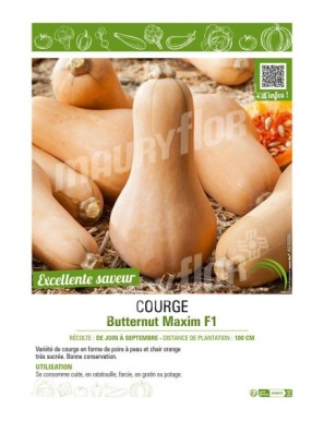 COURGE BUTTERNUT MAXIM F1