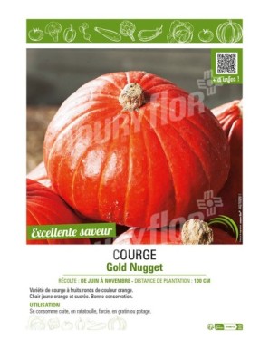 COURGE GOLD NUGGET