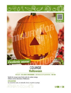 COURGE HALLOWEEN