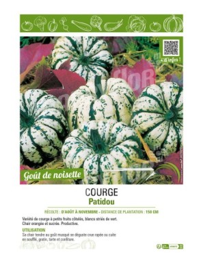 COURGE PATIDOU