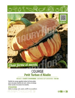 COURGE PETIT TURBAN D'ALADIN