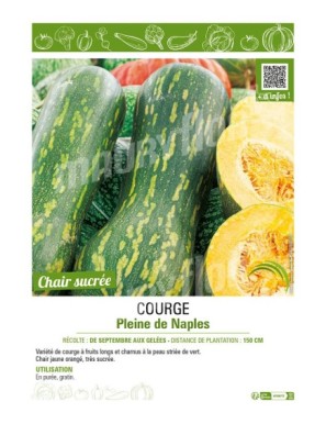 COURGE PLEINE DE NAPLES