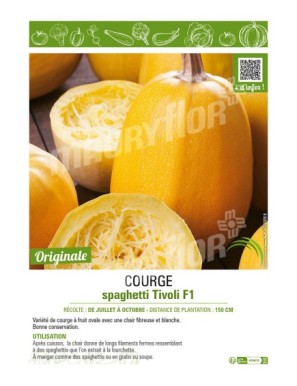 COURGE SPAGHETTI TIVOLI F1