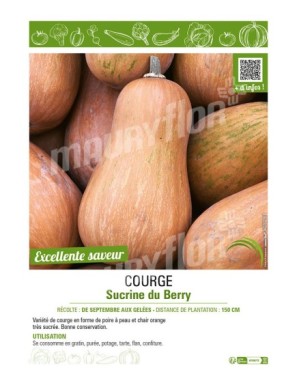 COURGE SUCRINE DU BERRY