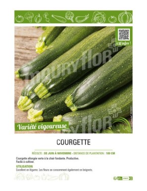 COURGETTE