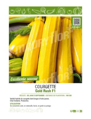 COURGETTE (JAUNE) GOLD RUSH F1