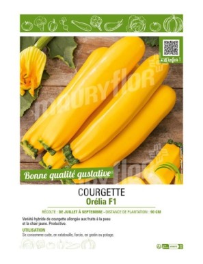 COURGETTE (JAUNE) ORÉLIA F1