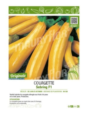 COURGETTE (JAUNE) SEBRING F1