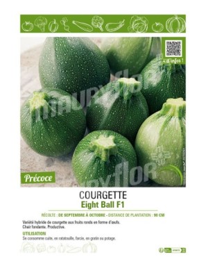 COURGETTE (RONDE) EIGHT BALL F1