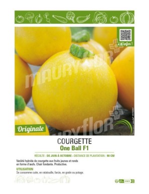 COURGETTE (RONDE) ONE BALL F1