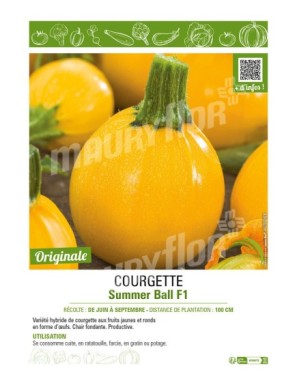 COURGETTE (RONDE) SUMMER BALL F1