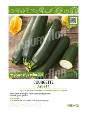 COURGETTE ASTIA F1