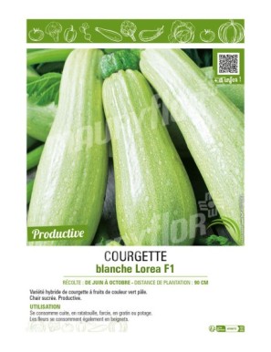 COURGETTE BLANCHE LOREA F1