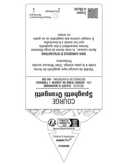 COURGE SPAGHETTI ORANGETTI