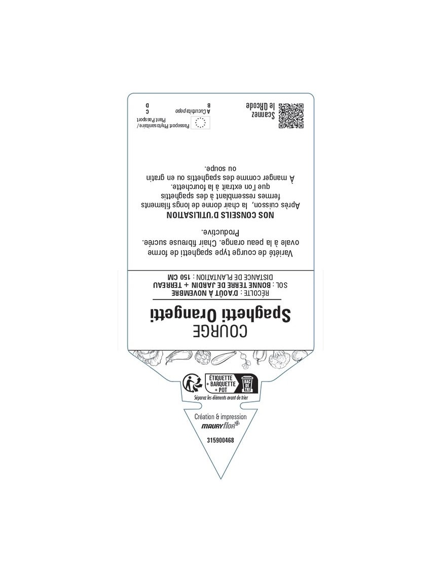 COURGE SPAGHETTI ORANGETTI