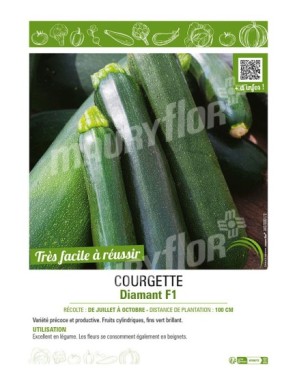 COURGETTE DIAMANT F1