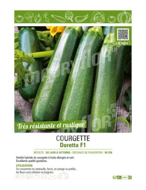 COURGETTE DORETTA F1