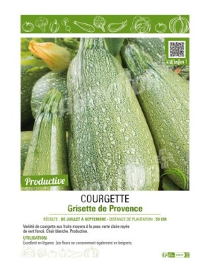 COURGETTE GRISETTE DE PROVENCE