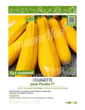 COURGETTE JAUNE PARADOR F1